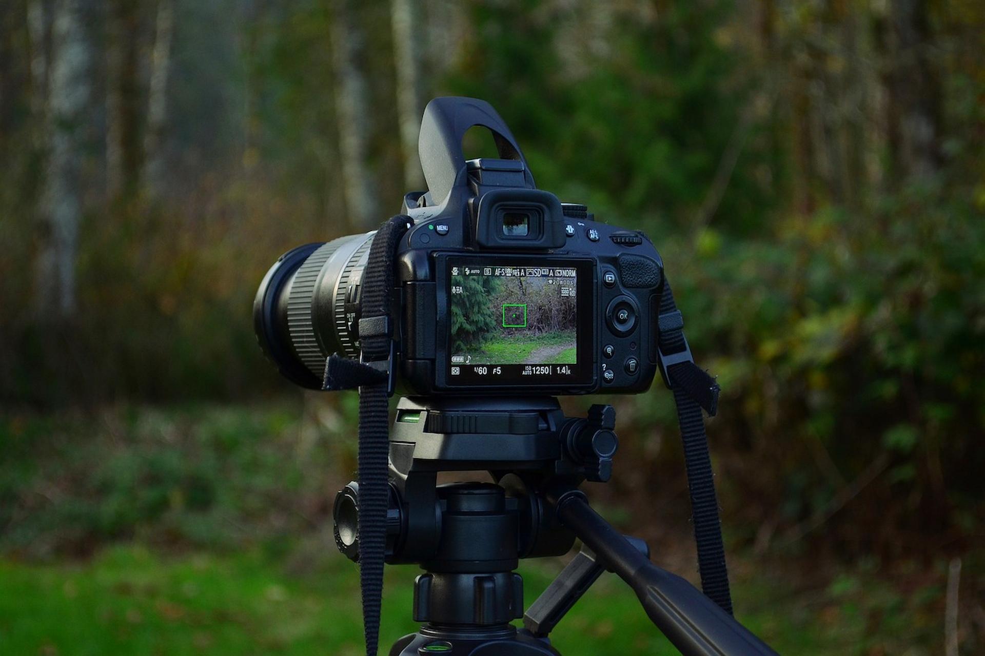 Becoming an Expert Visual Content Creator: Tips for Success in 2024