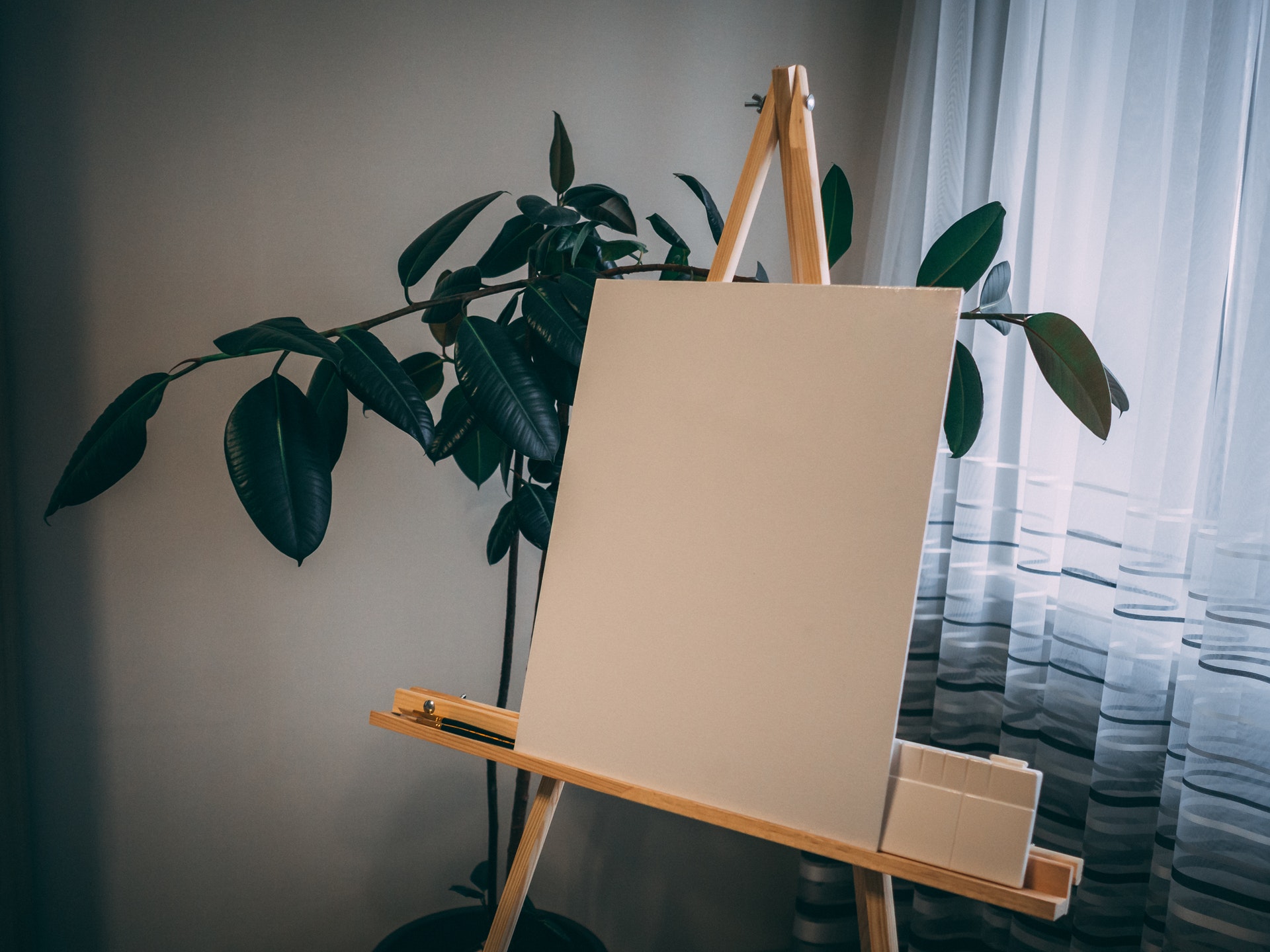 Which Canvas Bar Do You Get To Suit Your Unique Needs?